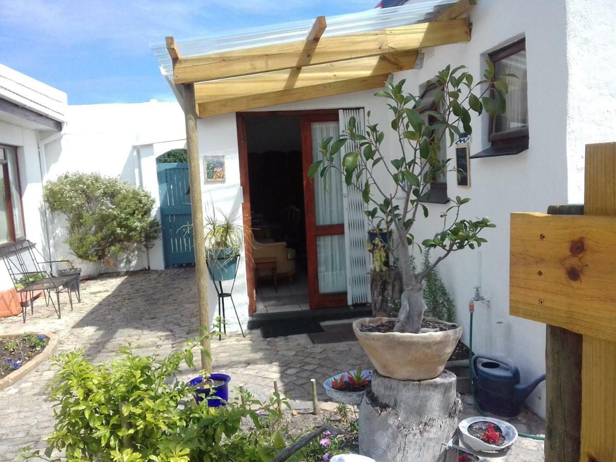 Albatross Apartment Hermanus Exterior photo