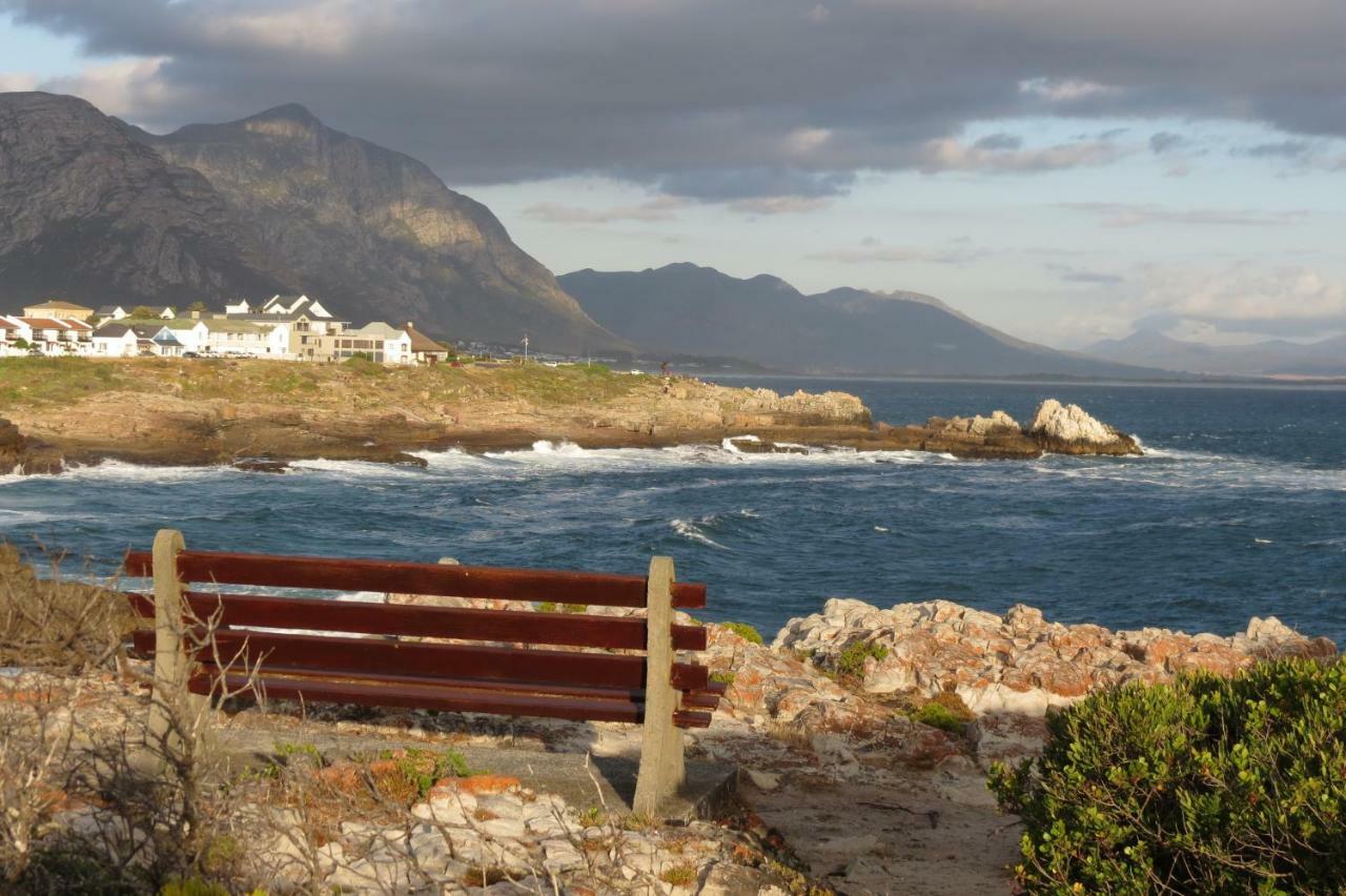 Albatross Apartment Hermanus Exterior photo