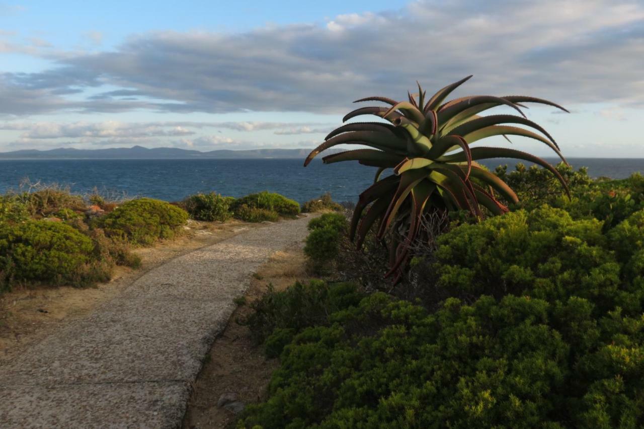 Albatross Apartment Hermanus Exterior photo
