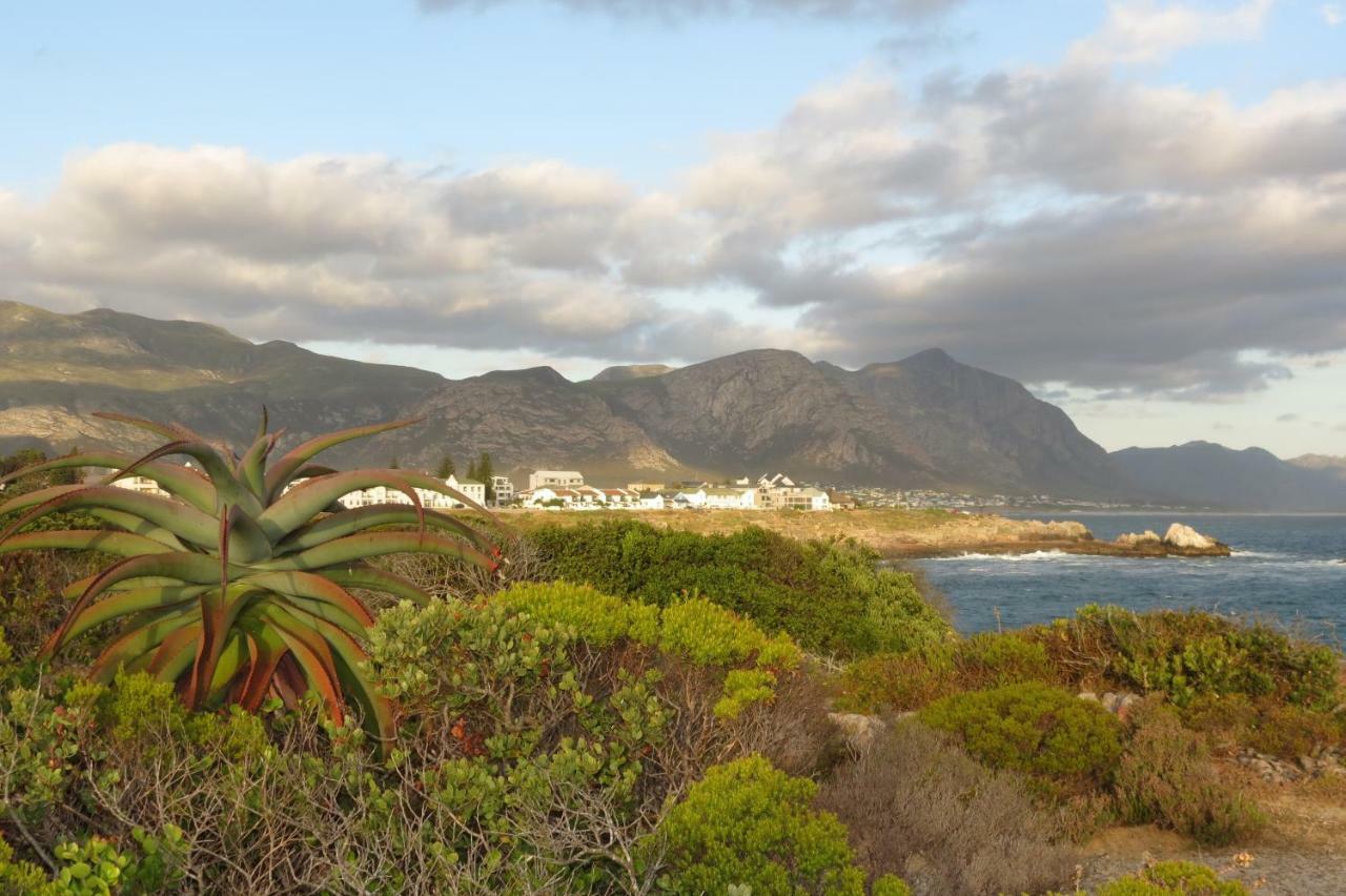 Albatross Apartment Hermanus Exterior photo
